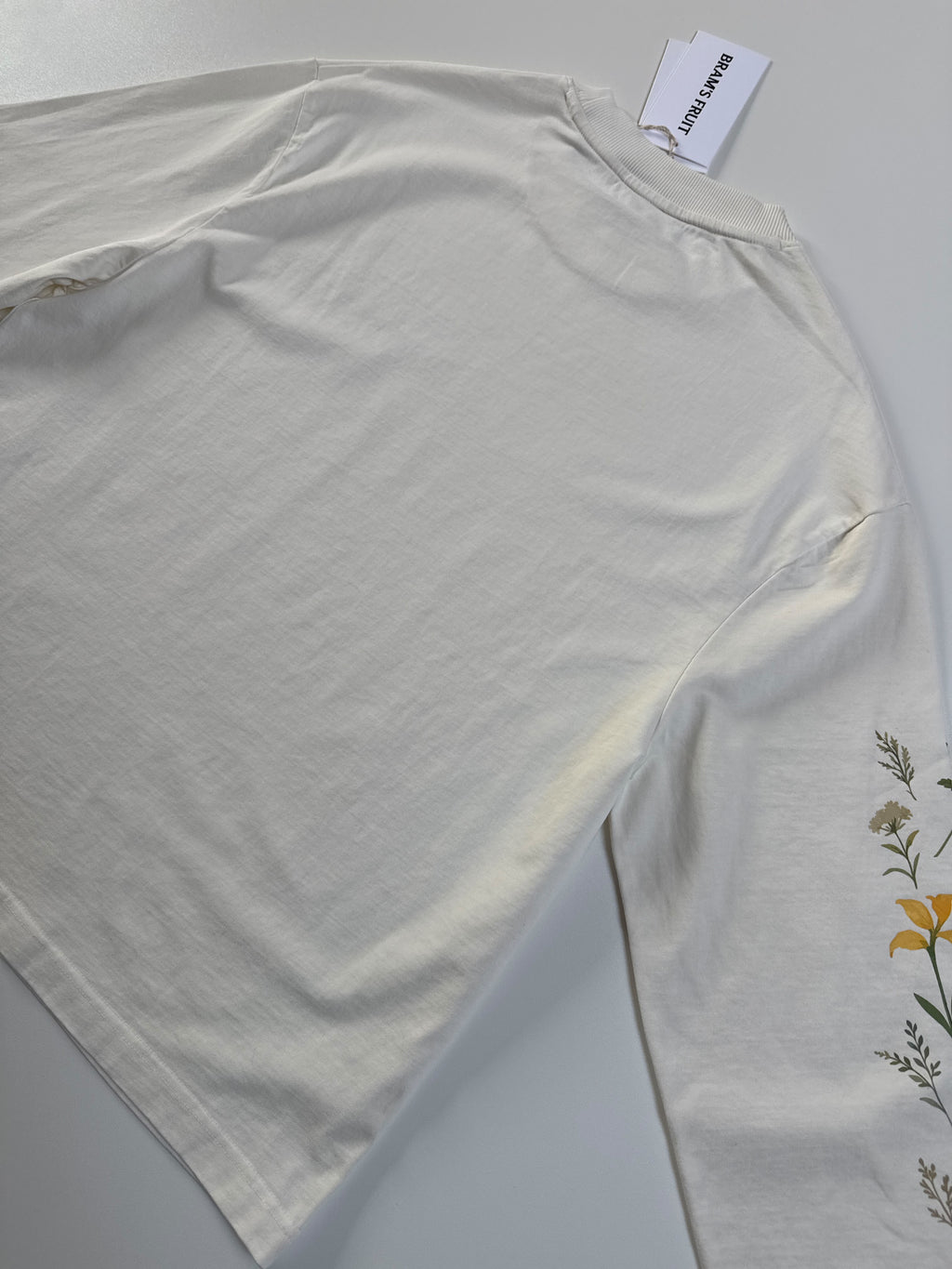 Bram’s Fruit Robin longsleeve