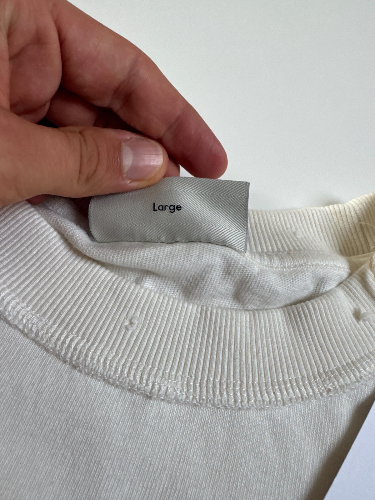 Bram’s fruit distressed Leaf longsleeve