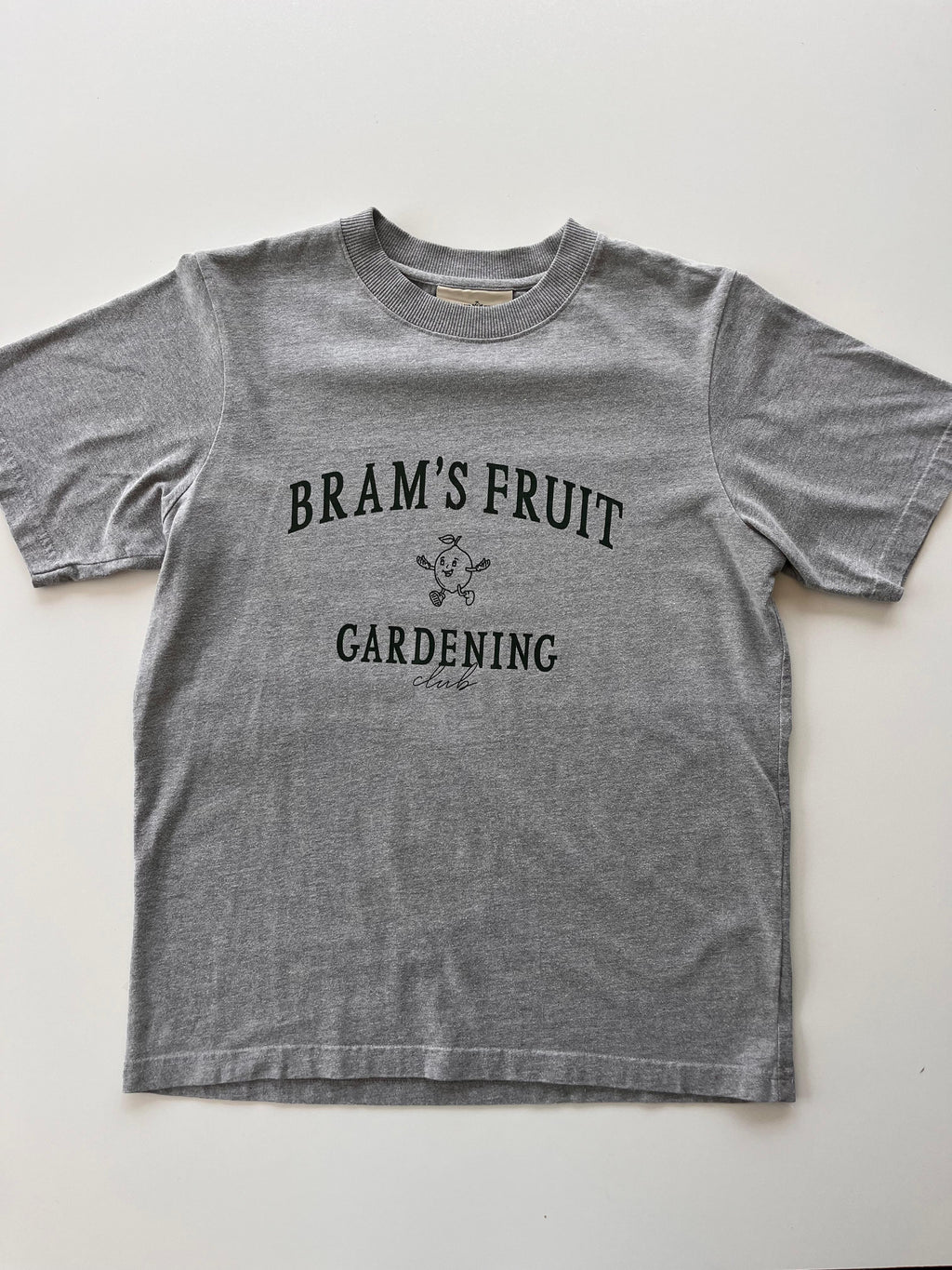 Brams Fruit tshirt - S