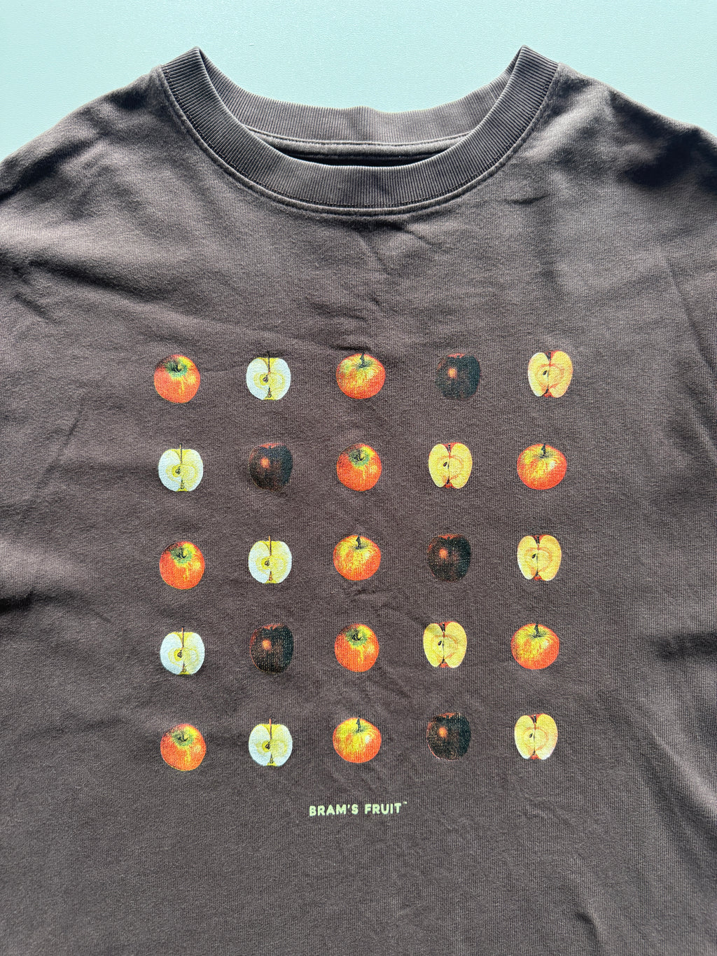 Brams Fruit T-Shirt (L)