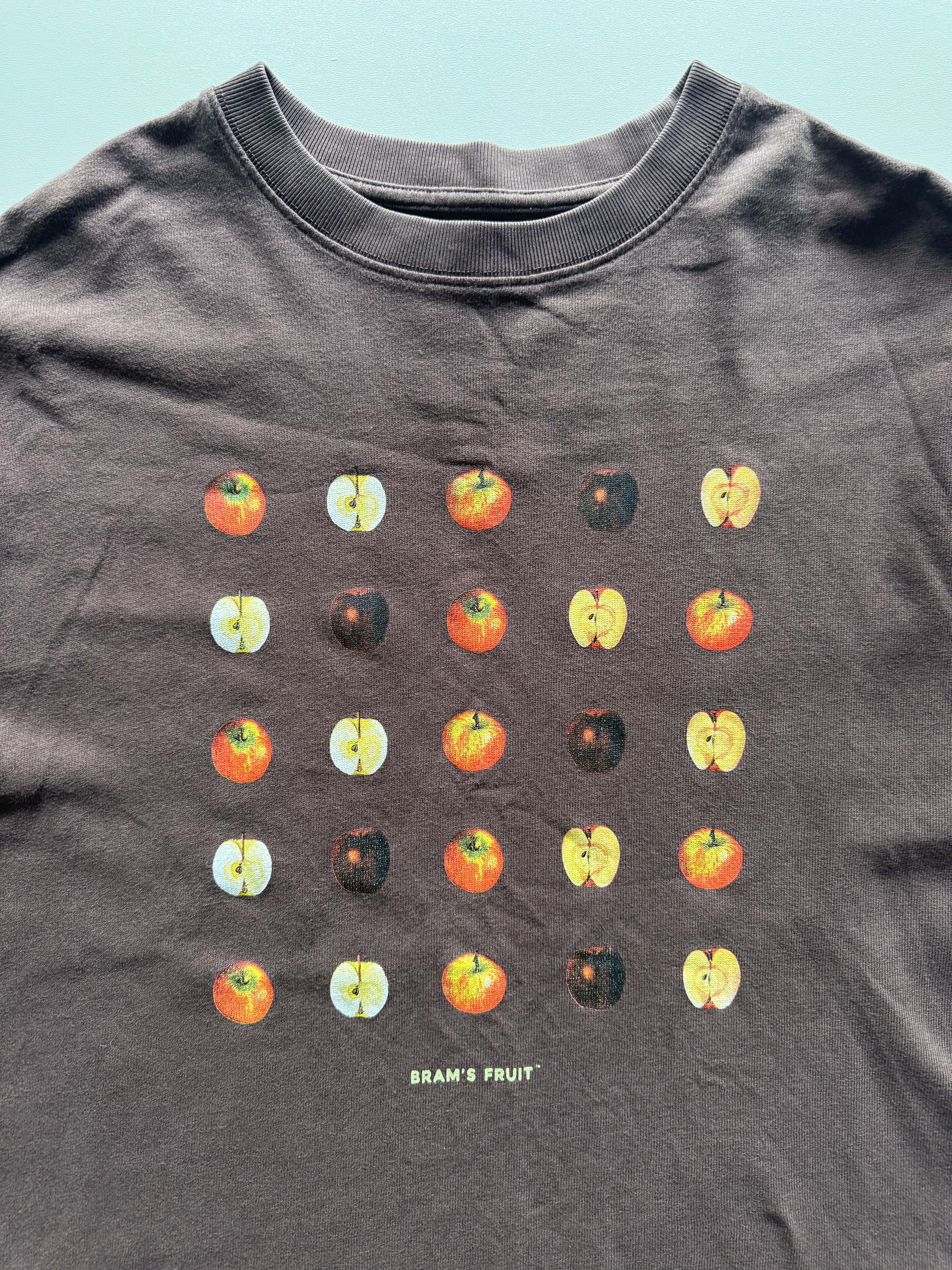 Brams Fruit T-Shirt (L)