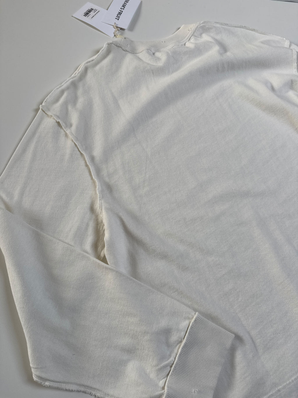 Bram’s fruit distressed Leaf longsleeve