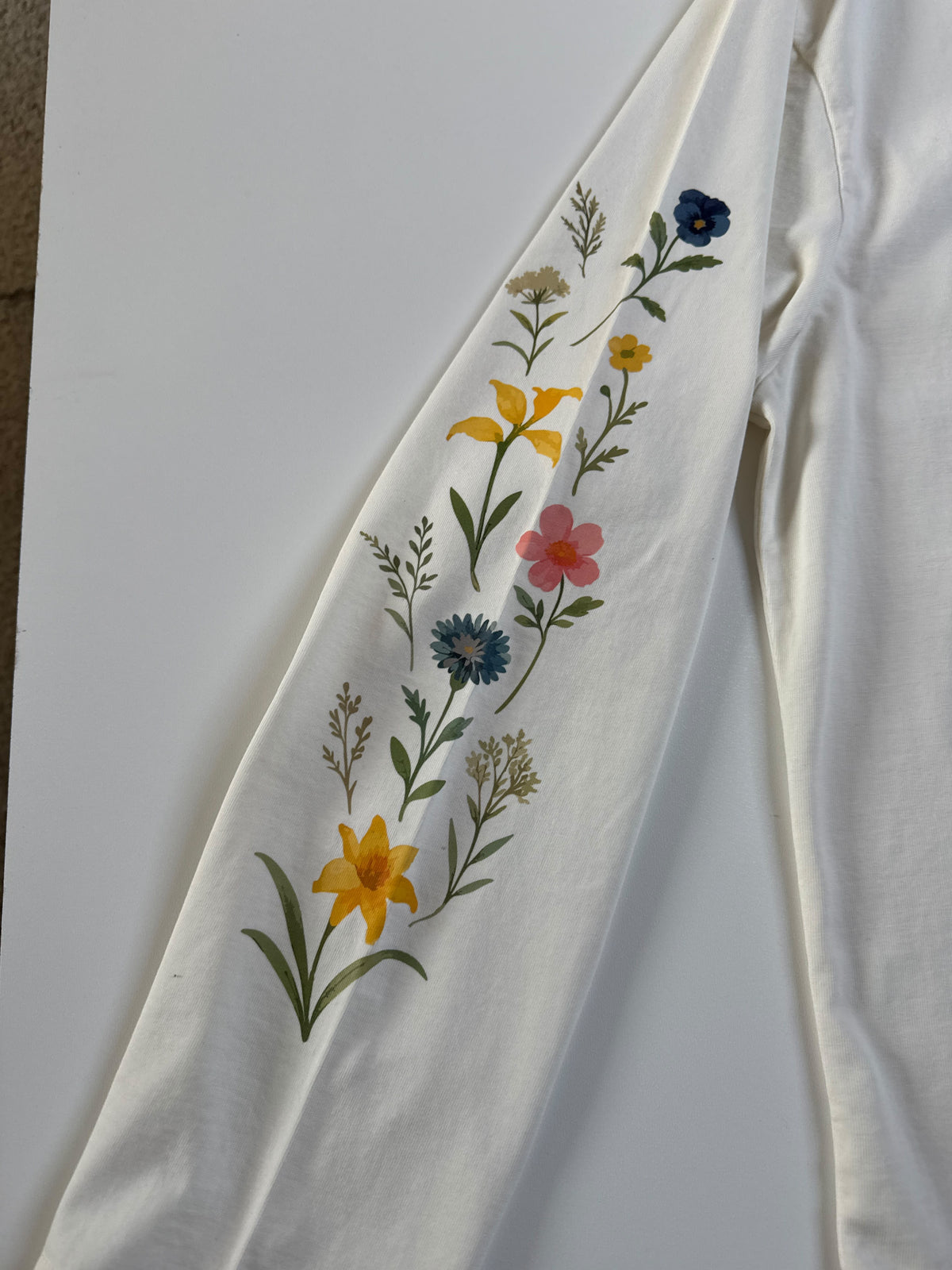 Bram’s Fruit Robin longsleeve