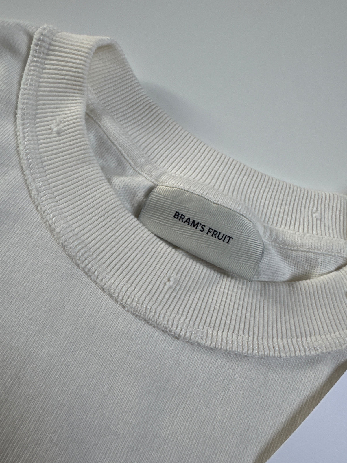 Bram’s fruit distressed Leaf longsleeve