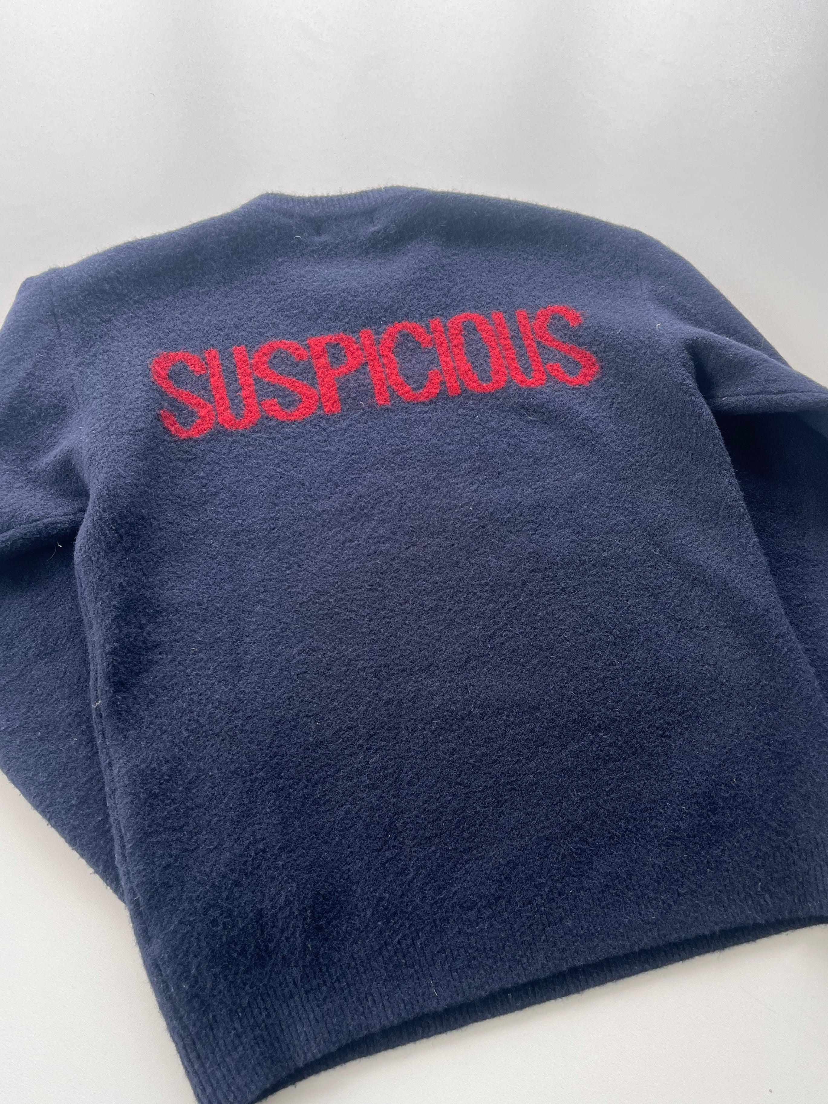 Suspicous Antwerp Knitsweater