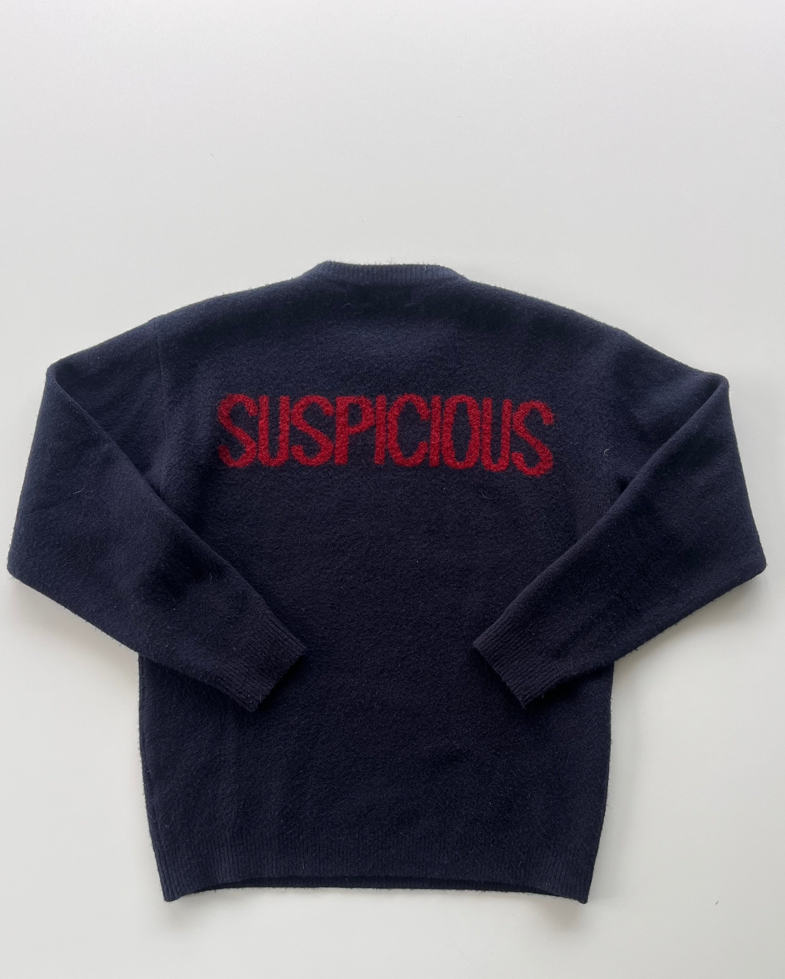 Suspicous Antwerp Knitsweater