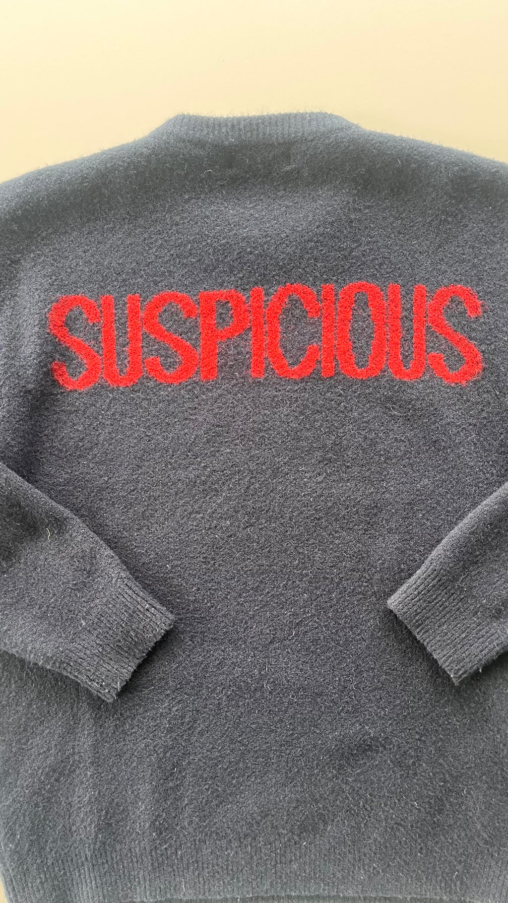 Suspicous Antwerp Knitsweater
