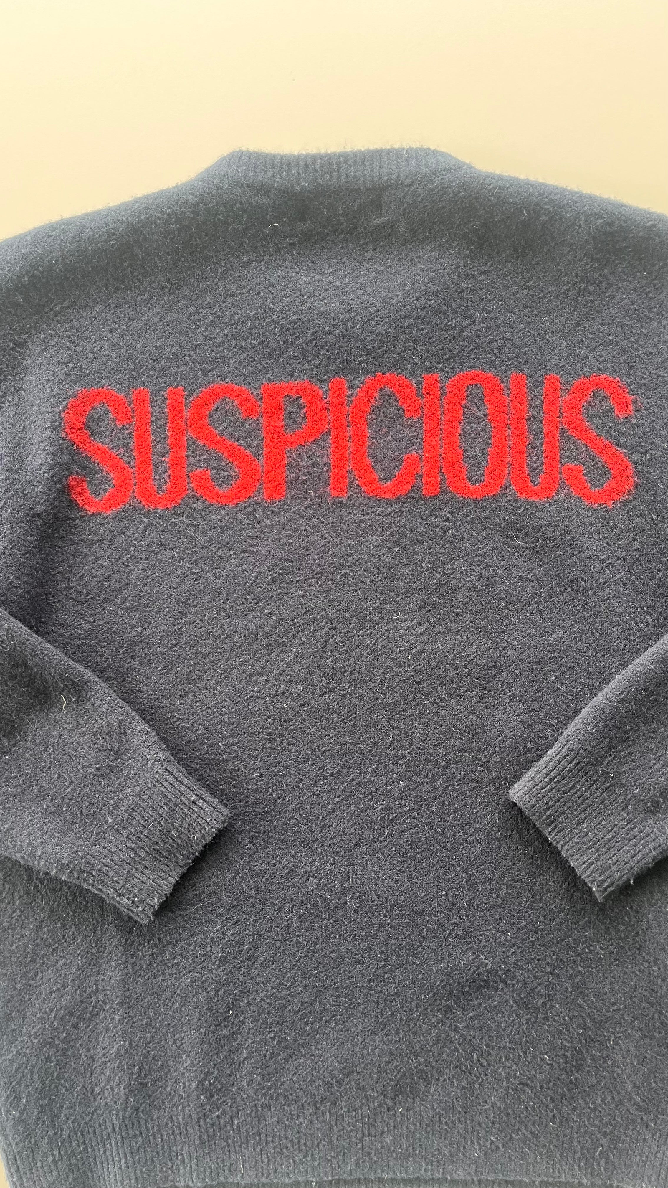 Suspicous Antwerp Knitsweater
