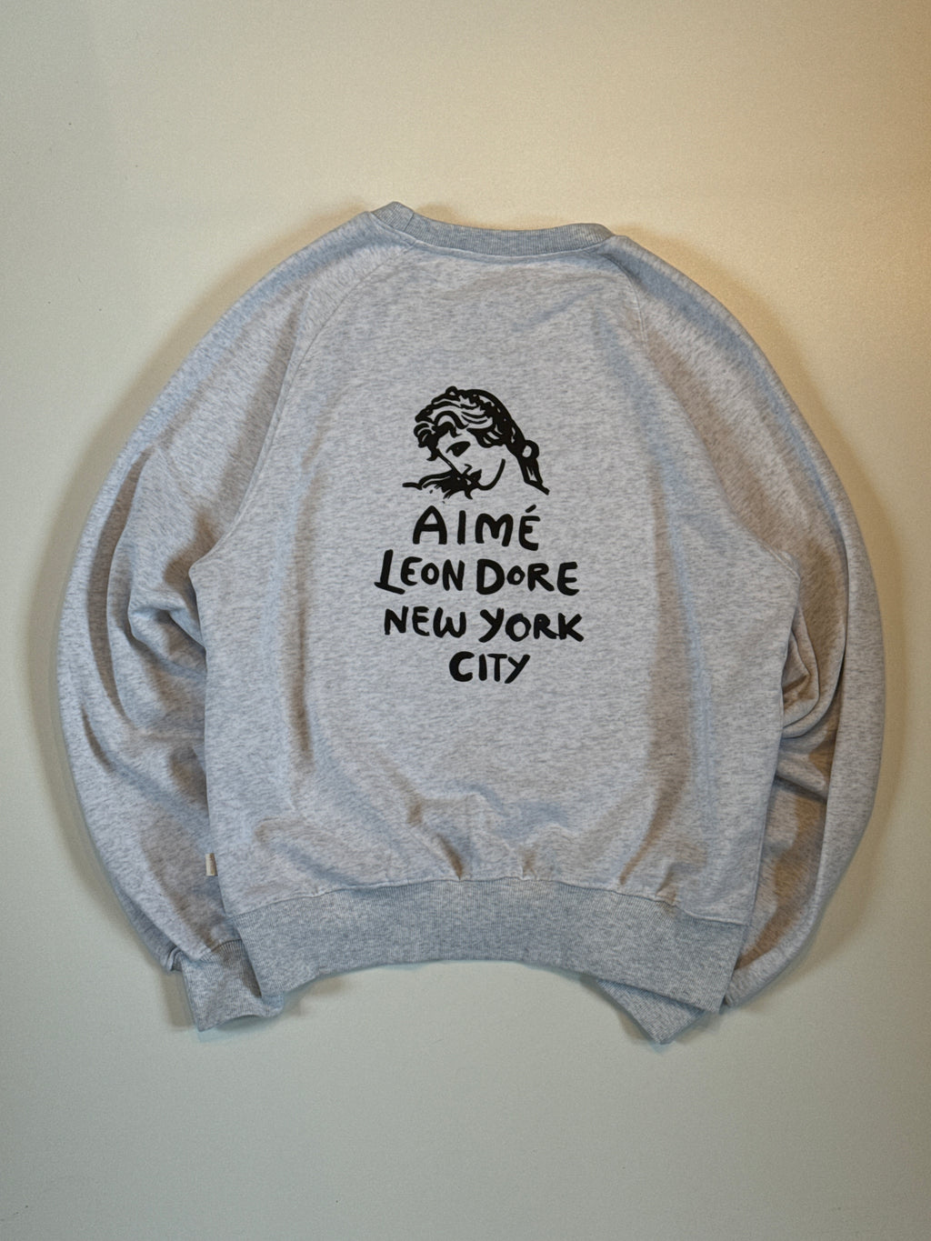 Aime Leon Dore Sweater M